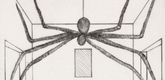 Louise Bourgeois. Spider, plate 11 of 11, from the illustrated book, He Disappeared into Complete Silence, second edition. 2001-2002
