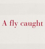 Louise Bourgeois. A Fly Caught in a Person's Thought. c. 2004