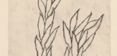 Louise Bourgeois. Leaves. 2006