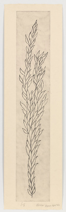 Louise Bourgeois. Leaves. 2006