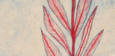 Louise Bourgeois. Untitled (Holiday Laurel). 2004