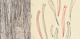 Louise Bourgeois. Untitled, no. 8 of 11, from the series, Extreme Tension. 2007