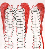 Louise Bourgeois. Couples. 2001