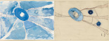 Louise Bourgeois. Untitled, no. 20, in Nothing to Remember (set 4), from the series of folio sets (1-6). 2004-2006