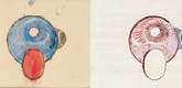 Louise Bourgeois. Untitled, no. 9, in Nothing to Remember (set 3), from the series of folio sets (1-6). 2004-2006