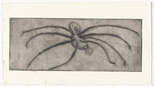 Louise Bourgeois. Untitled, plate 9 of 9, from the illustrated book, Ode &agrave; Ma M&egrave;re. 1995