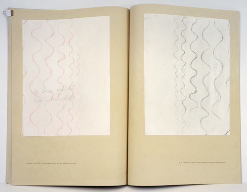 Louise Bourgeois. Untitled, plates 15 and 16 of 18 (diptych), from the illustrated book, One's Sleep (3). 2003
