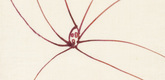 Louise Bourgeois. Untitled, no. 22 of 36, from the series, The Fragile. 2007