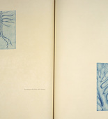 Louise Bourgeois. Spring and The Underground Life of Fear, plates 12 and 13 of 18 (diptych), from the illustrated book, One's Sleep (3). 2003