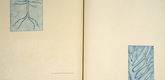 Louise Bourgeois. Spring and The Underground Life of Fear, plates 12 and 13 of 18 (diptych), from the illustrated book, One's Sleep (3). 2003