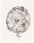 Louise Bourgeois. Untitled, plate 1 of 10, from the portfolio, Homely Girl, A Life. 1991-1992