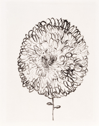 Louise Bourgeois. Untitled, plate 1 of 10, from the portfolio, Homely Girl, A Life. 1991-1992