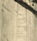 Louise Bourgeois. The Ladder of Success. 2002