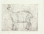 Louise Bourgeois. Llama. 1999