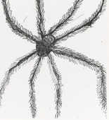 Louise Bourgeois. Untitled (Study for Hairy Spider). 2001