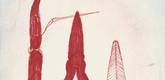 Louise Bourgeois. La R&eacute;paration, plate 3 of 7, from the portfolio, La R&eacute;paration. 2001