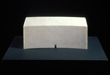 Louise Bourgeois. The Curved House. 1983