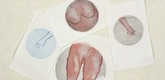 Louise Bourgeois. Untitled. 2006