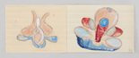 Louise Bourgeois. Untitled, no. 36, in Nothing to Remember (set 6), from the series of folio sets (1-6). 2004-2006