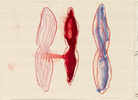 Louise Bourgeois. Untitled, no. 18, in Nothing to Remember (set 4), from the series of folio sets (1-6). 2004-2006