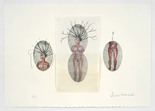 Louise Bourgeois. The Young Girl. 2006