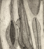 Louise Bourgeois. Les Mollusques. c. 1948