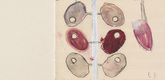 Louise Bourgeois. Untitled, no. 25, in Nothing to Remember (set 6), from the series of folio sets (1-6). 2004-2006