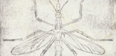 Louise Bourgeois. Mosquito. 1999