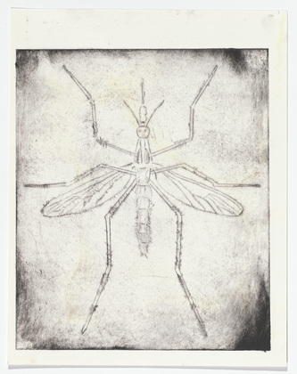 Louise Bourgeois. Mosquito. 1999