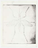Louise Bourgeois. Mosquito. 1999