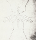 Louise Bourgeois. Mosquito. 1999