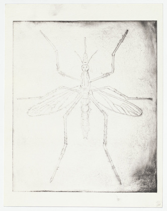 Louise Bourgeois. Mosquito. 1999