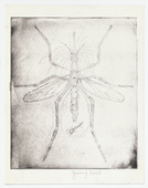 Louise Bourgeois. Mosquito. 1999