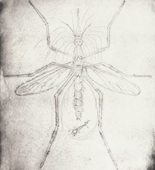 Louise Bourgeois. Mosquito. 1999