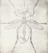 Louise Bourgeois. Mosquito. 1999