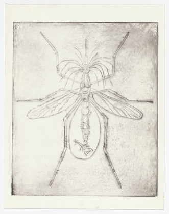 Louise Bourgeois. Mosquito. 1999