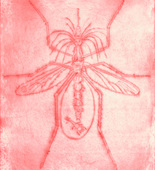 Louise Bourgeois. Mosquito. 1999