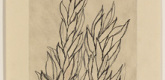 Louise Bourgeois. Leaves. 2006
