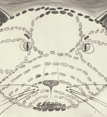 Louise Bourgeois. The Angry Cat. 1999