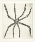 Louise Bourgeois. Hairy Spider. 2001