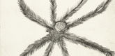 Louise Bourgeois. Hairy Spider. 2001
