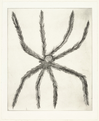 Louise Bourgeois. Hairy Spider. 2001