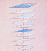 Louise Bourgeois. Untitled, plate 4 of 8, from the puritan. 1990