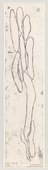 Louise Bourgeois. Untitled. 2008