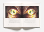 Louise Bourgeois. Untitled, no. 7 of 8, from the illustrated book, Homely Girl, A Life, volume II. 1992