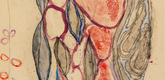 Louise Bourgeois. The Unfolding (#2). 2008
