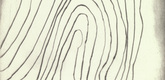Louise Bourgeois. Untitled, plate 6 of 15, from the series, Nature Study. 2009