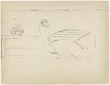 Louise Bourgeois. Bosom Lady. 1948