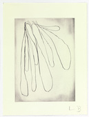 Louise Bourgeois. Untitled, plate 15 of 15, from the series, Nature Study. 2009