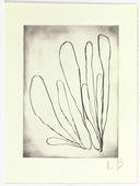 Louise Bourgeois. Untitled, plate 15 of 15, from the series, Nature Study. 2009